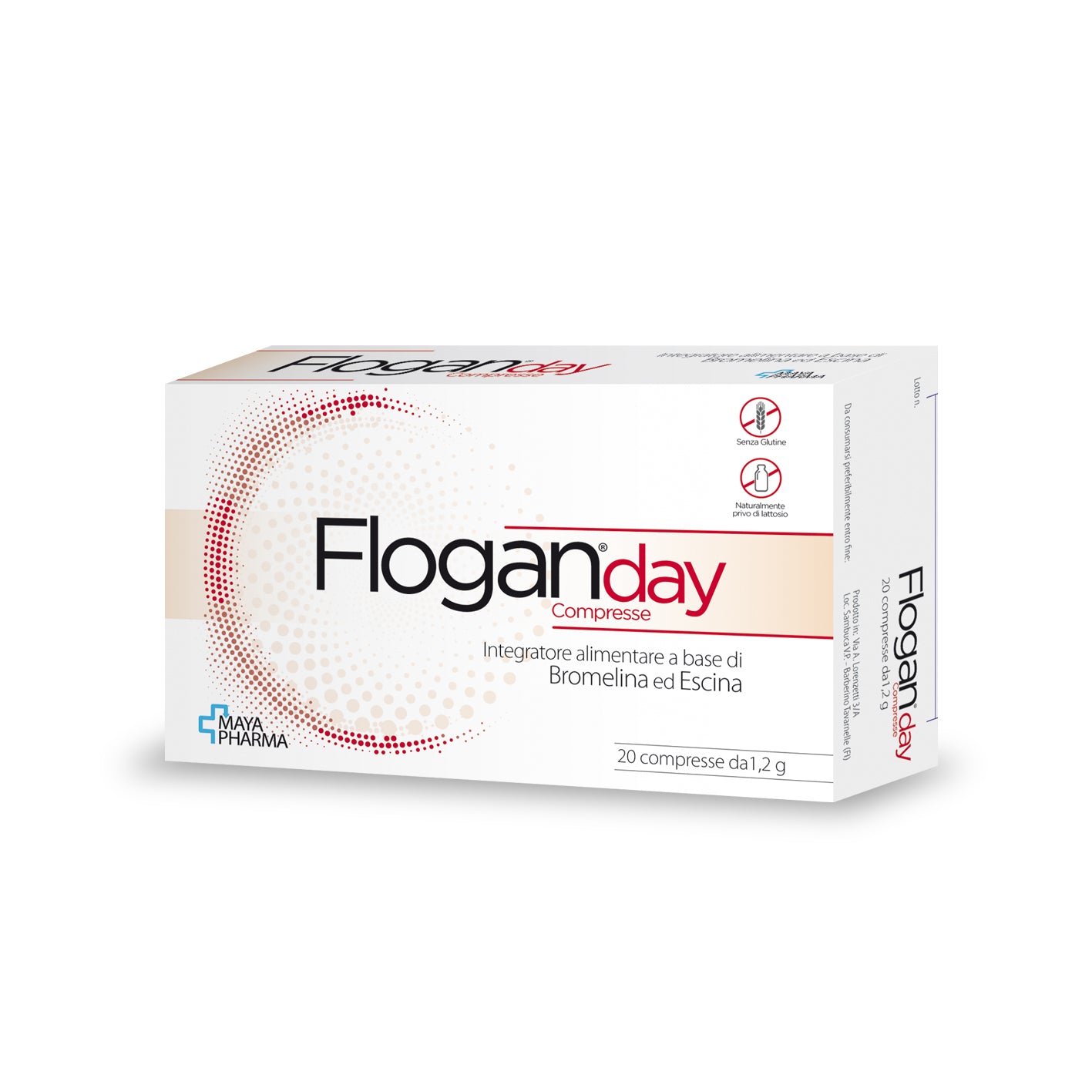 FLOGAN DAY